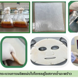 วว. คว้ารางวัลสิ่งประดิษฐ์ยอดเยี่ยม /เหรียญทอง ในเวที INTARG ... Image 3